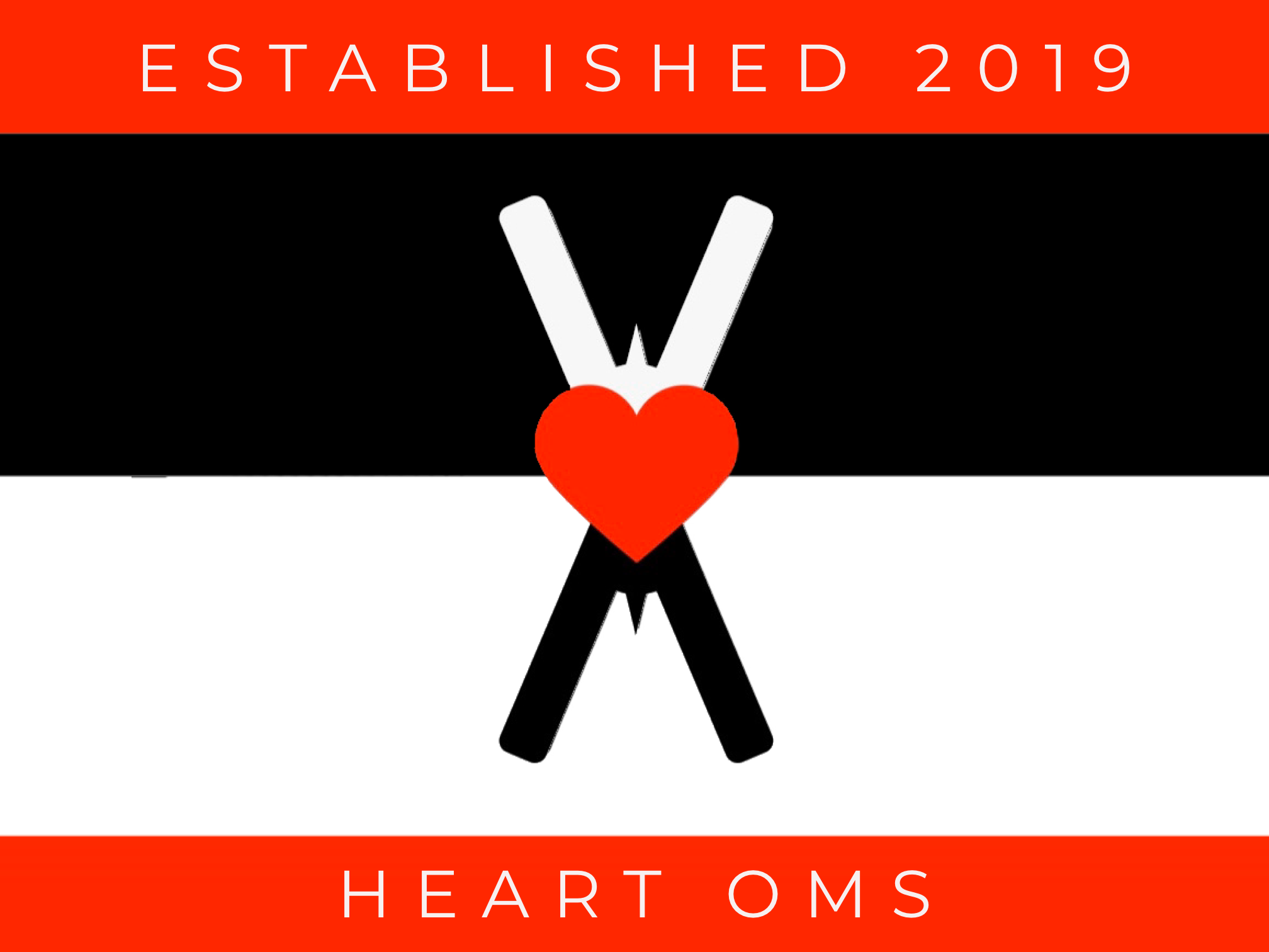 STYLE GUIDE NO. 2  Heart-OMS – Heart On My Sleeve